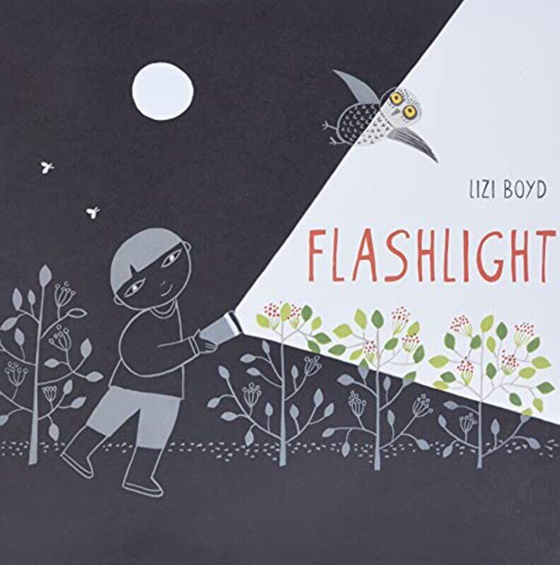 

Flashlight By Boyd Lizi - Hardcover