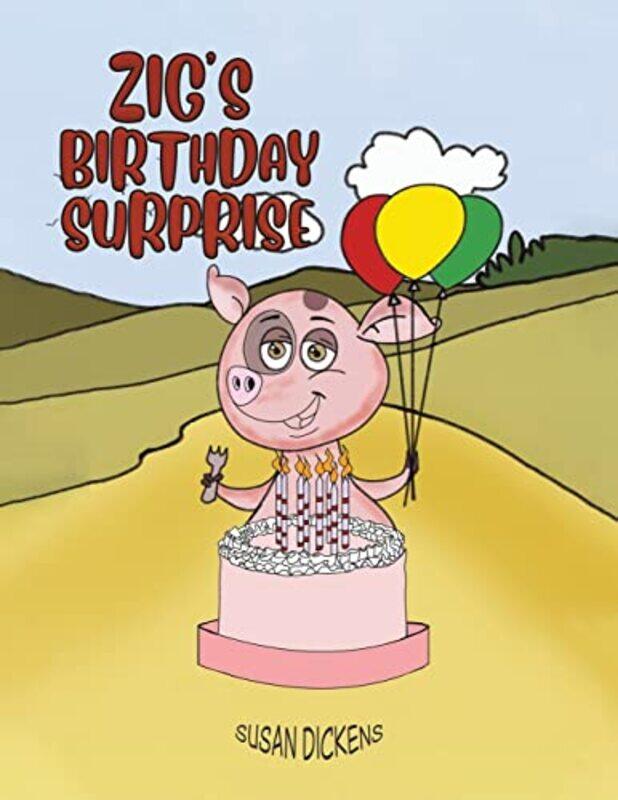 

Zigs Birthday Surprise by Susan Dickens-Paperback