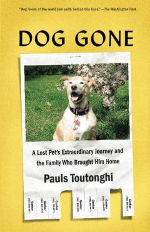 

Dog Gone By Toutonghi Pauls - Paperback