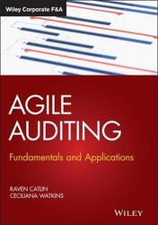 Agile Auditing - Fundamentals and Applications,Hardcover,ByCatlin
