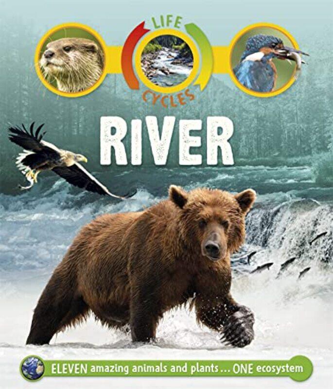 

Life Cycles River, Paperback by Callery, Sean