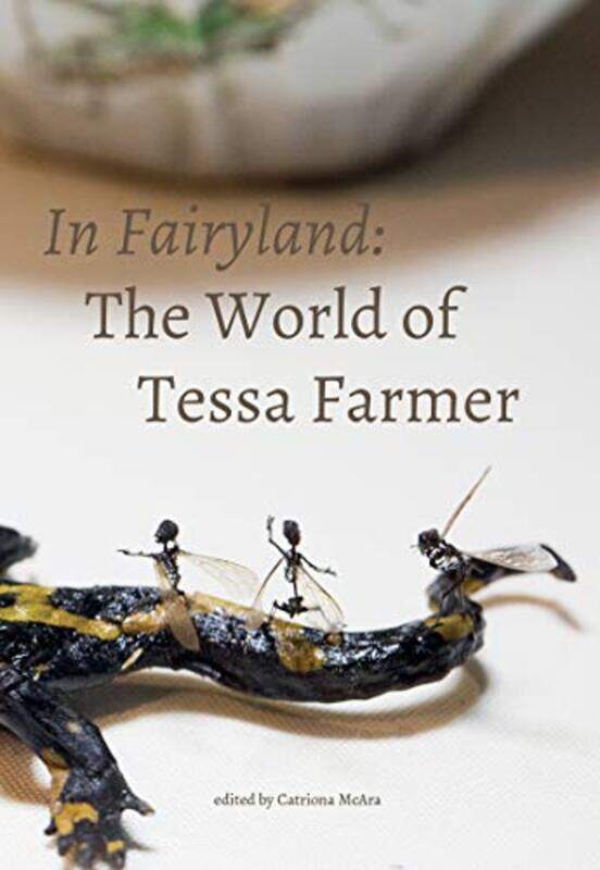 

In Fairyland by Catriona McAra-Paperback