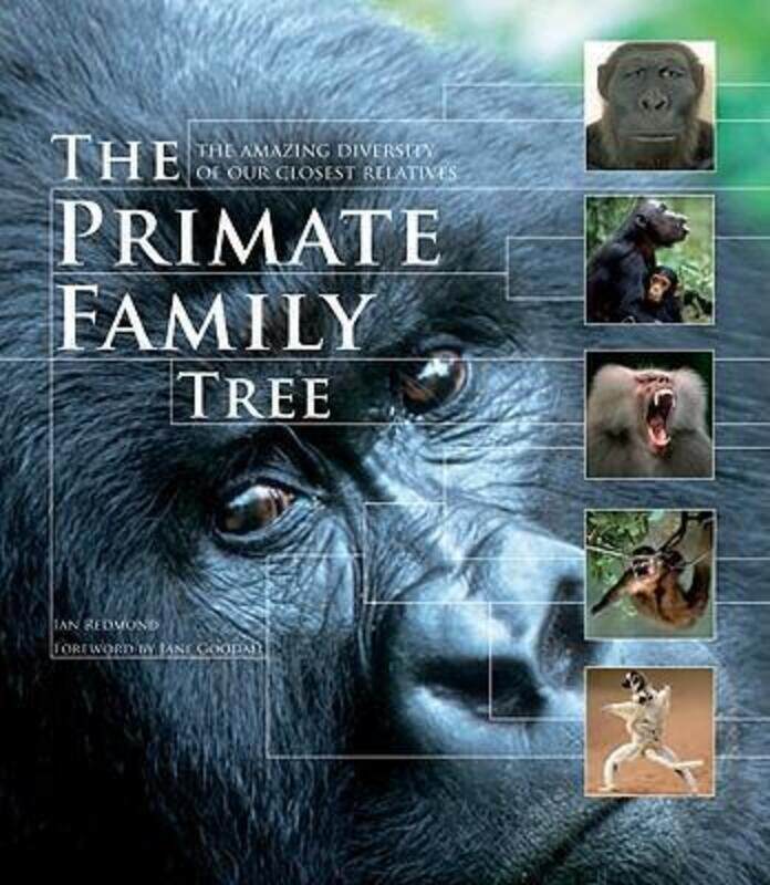 

The Primate Family Tree: The Amazing Diversity of Our Closest Relatives.paperback,By :Redmond, Ian - Goodall, Jane