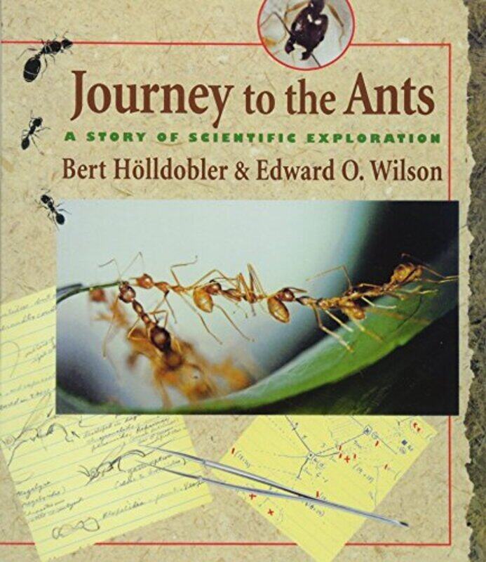 

Journey To The Ants A Story Of Scientific Exploration By Hoelldobler, Bert - Wilson, Edward O. - Paperback