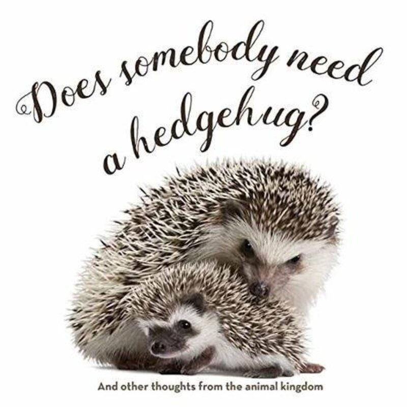 Does Somebody Need a Hedgehug?, Hardcover Book, By: Anita Wood