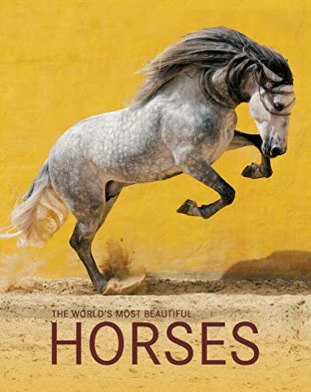 

The Worlds Most Beautiful Horses , Hardcover by Boiselle, Gabriele