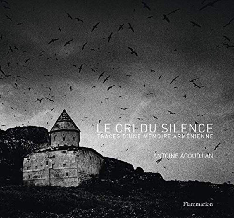 

Le cri du silence : Traces dune m moire arm nienne,Paperback by Antoine Agoudjian