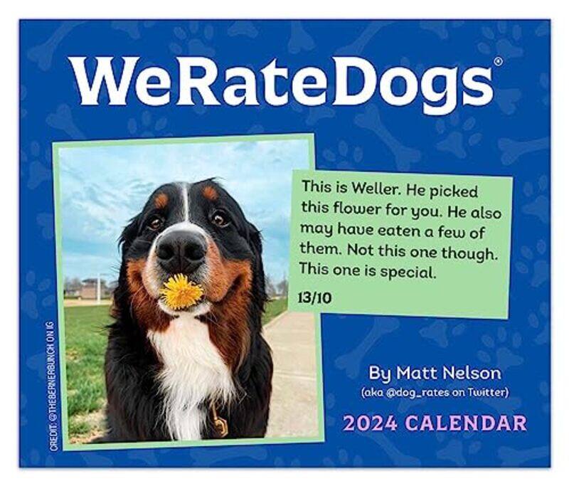 

Weratedogs 2024 Daytoday Calendar By Nelson Matt - Paperback