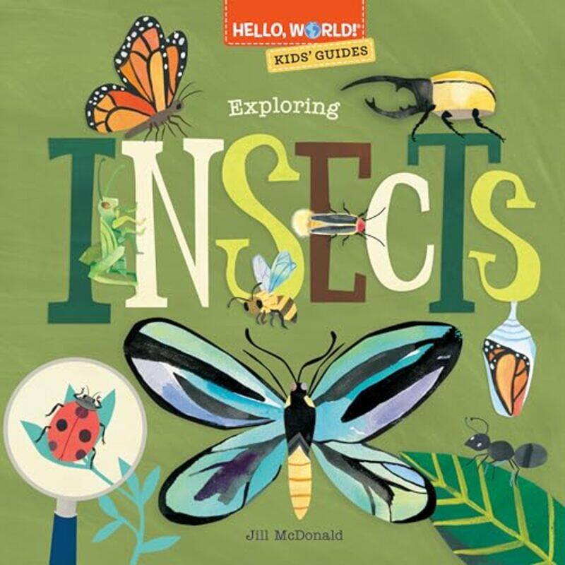 

Hello World! Kids Guides Exploring Insects by Jo WitekChristine Roussey-Hardcover