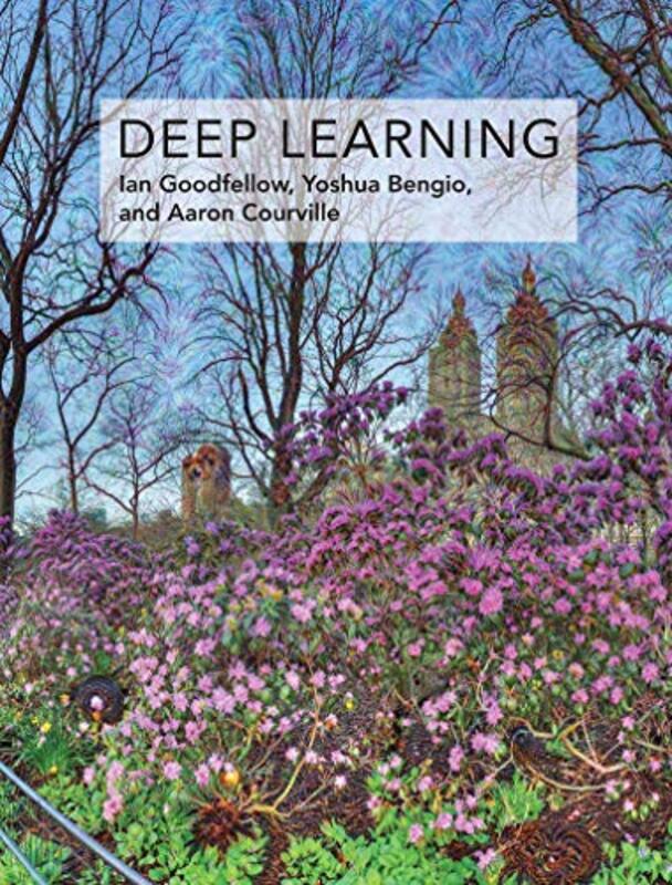 Deep Learning,Paperback,By:Goodfellow, Ian (Senior Research Scientist, OpenAI) - Bengio, Yoshua (Full Professor, Universite de
