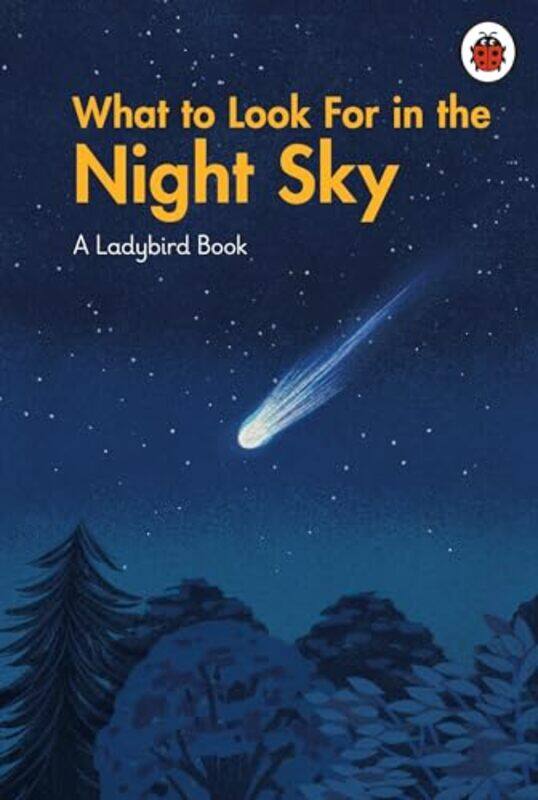 

What to Look For in the Night Sky by LadybirdJiatong Liu-Hardcover