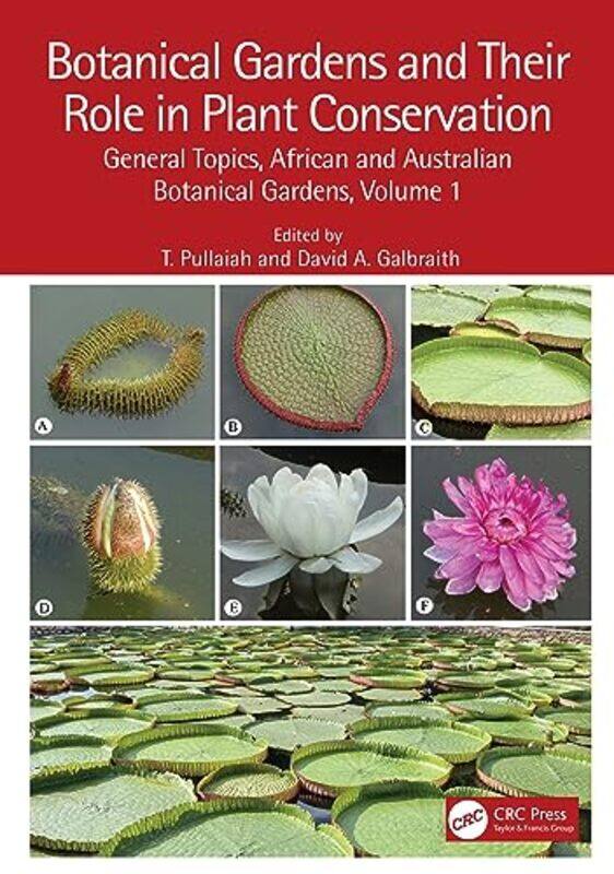 

Botanical Gardens and Their Role in Plant Conservation by American Nurses AssociationKatherine ForniliSusanne Fogger-Hardcover