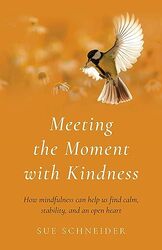 Meeting The Moment With Kindness How Mindfulness Can Help Us Find Calm Stability And An Open Hea By Sue Schneider Paperback