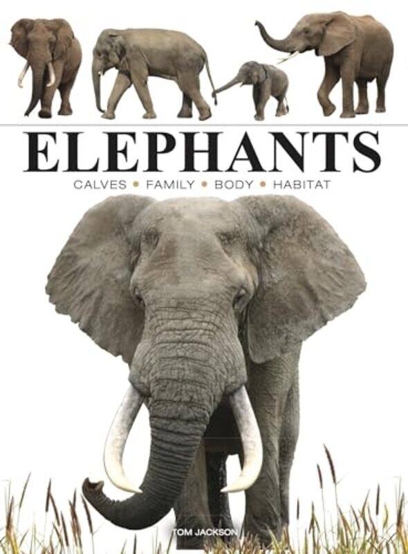 

Elephants By Jackson Tom - Paperback