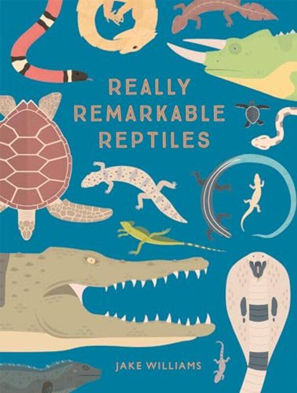 

Really Remarkable Reptiles by Joanna Brundle-Hardcover