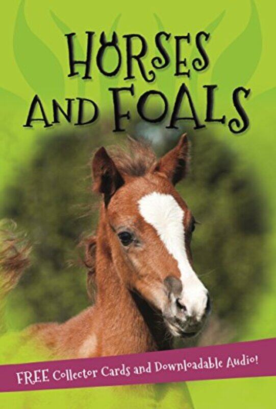 

Its All About Horses And Foals by Kingfisher - Paperback