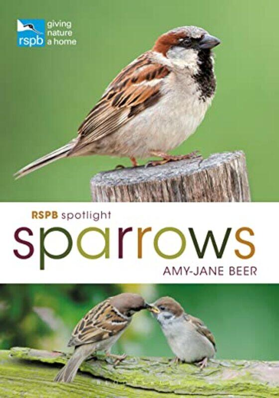 

RSPB Spotlight Sparrows by Amy-Jane Beer-Paperback