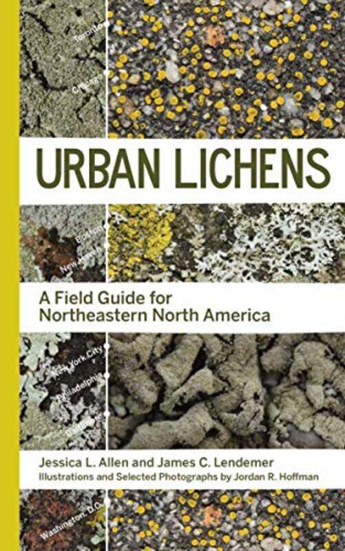 

Urban Lichens by Tan Terry-Paperback