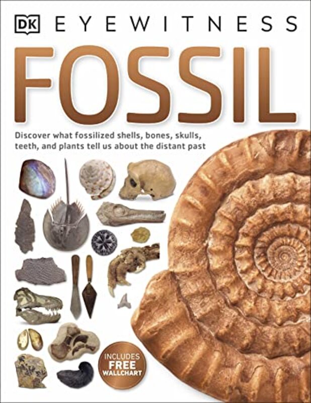 Fossil , Paperback by DK