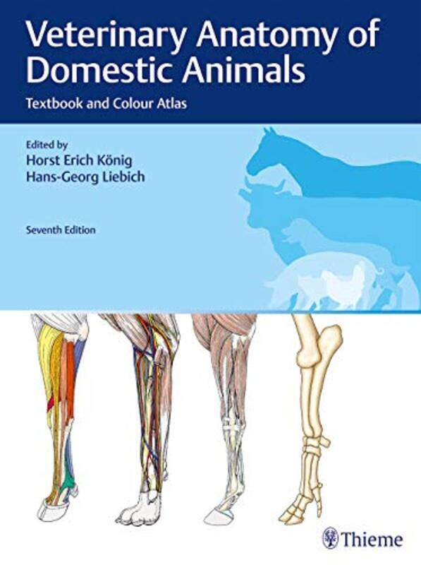 

Veterinary Anatomy of Domestic Animals by Lee Parks-Hardcover