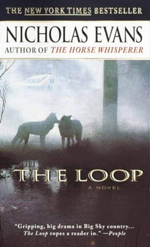 

Loop By Evans Nicholas - Paperback