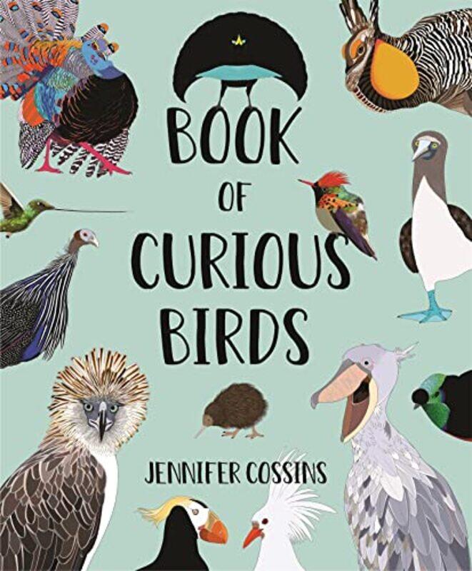 

Book of Curious Birds by Jennifer Cossins-Hardcover