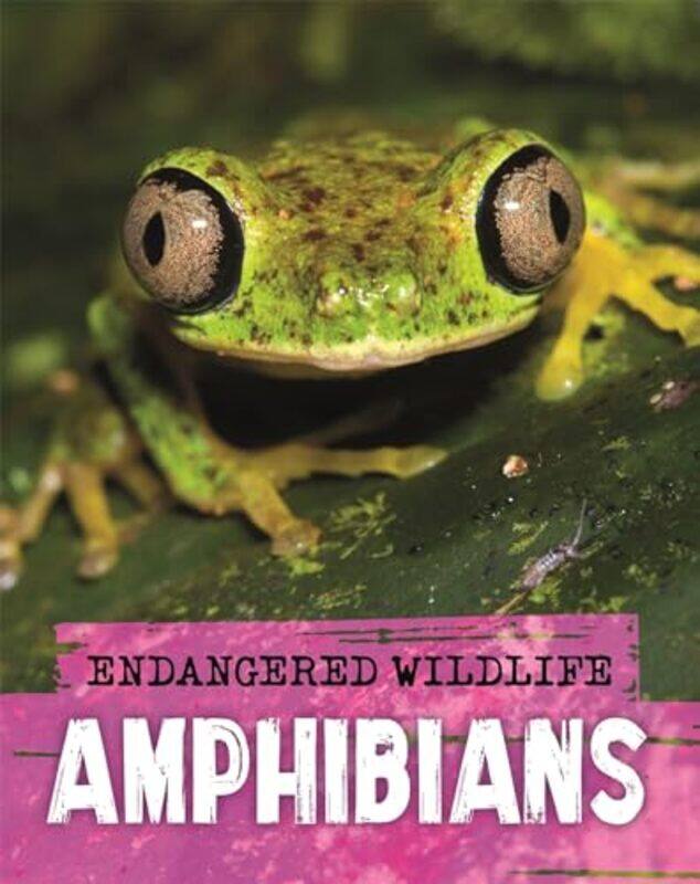 

Endangered Wildlife Rescuing Amphibians by E EhlersCarl Friedrich Gethmann-Paperback