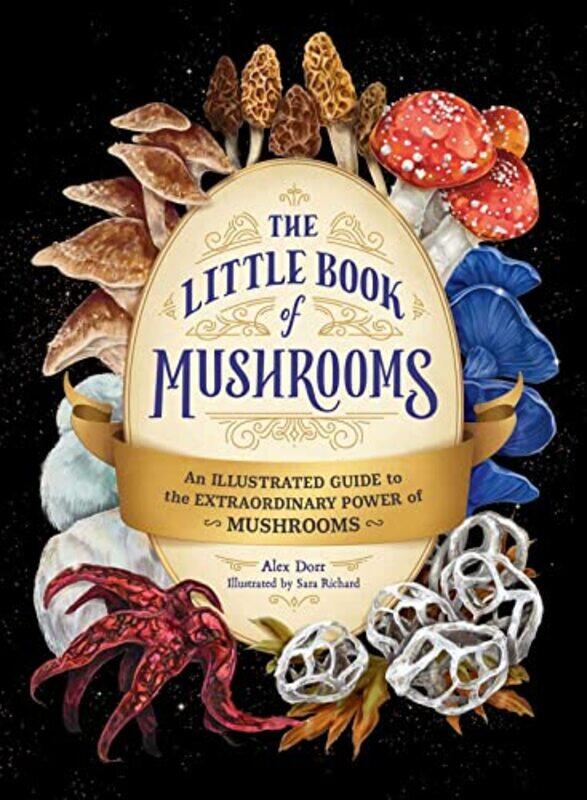 

Little Book Of Mushrooms Hardcover by Alex Dorr