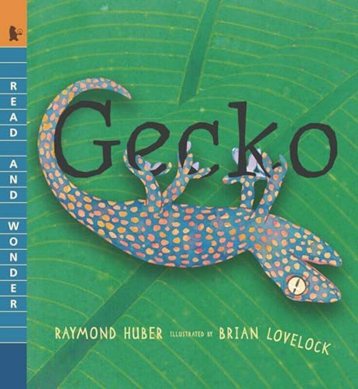 

Gecko By Huber, Raymond - Lovelock, Brian Paperback