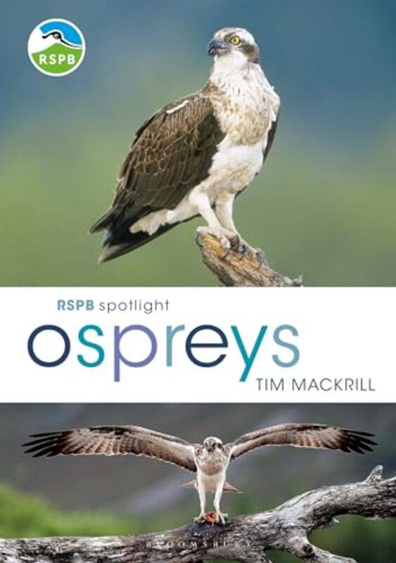 

RSPB Spotlight Ospreys by Tim Author Mackrill-Paperback