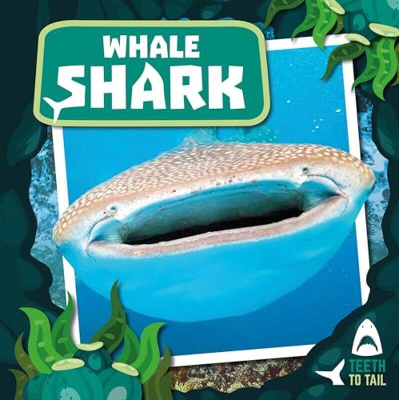 

Whale Shark by Asmodee-Hardcover