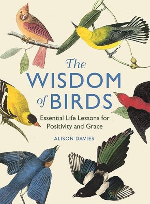 

The Wisdom of Birds by Alison Davies -Hardcover