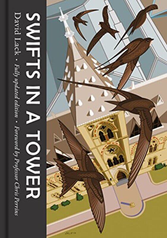 

Swifts in a Tower by Chris Daniels-Hardcover