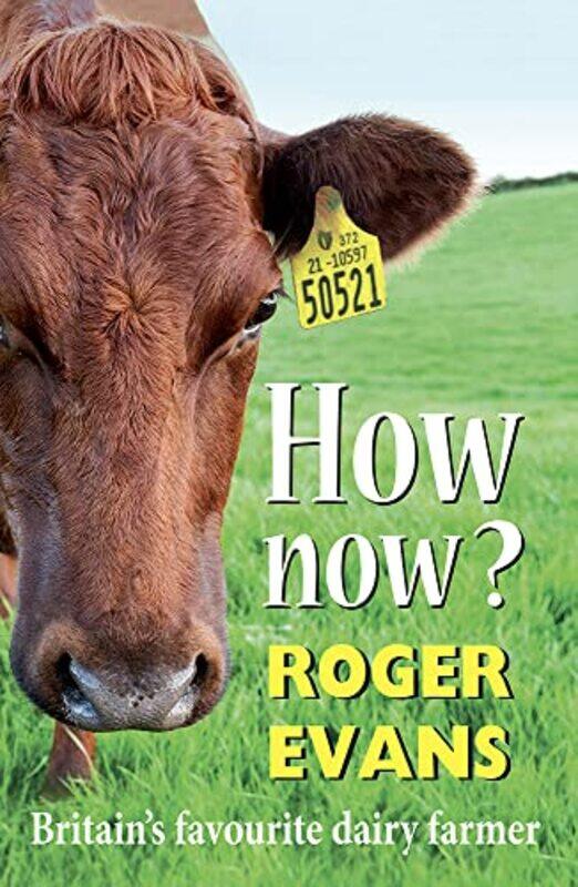 

How now by Jochen GlaserGrit Laudel-Hardcover