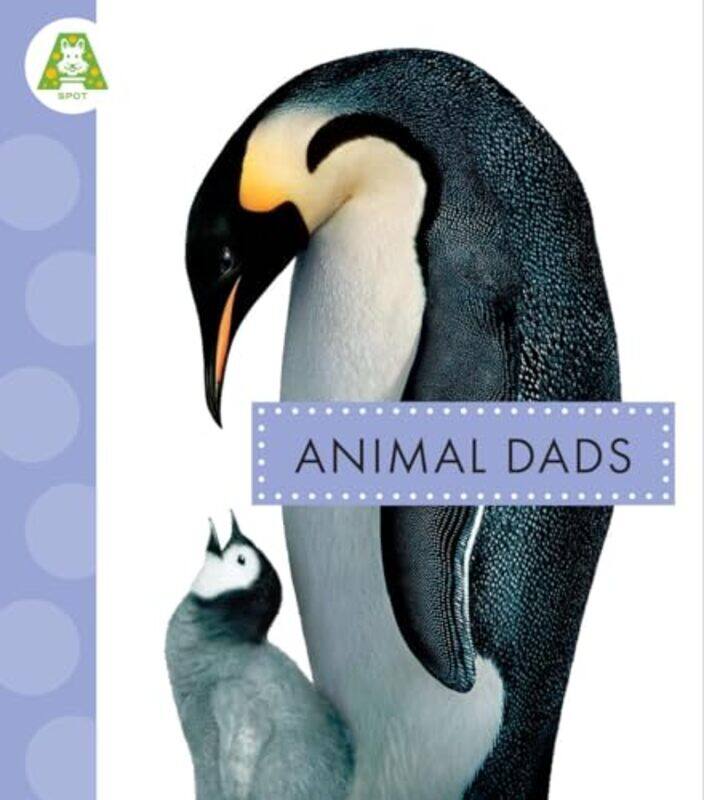 

Animal Dads By Schuh Mari - Paperback