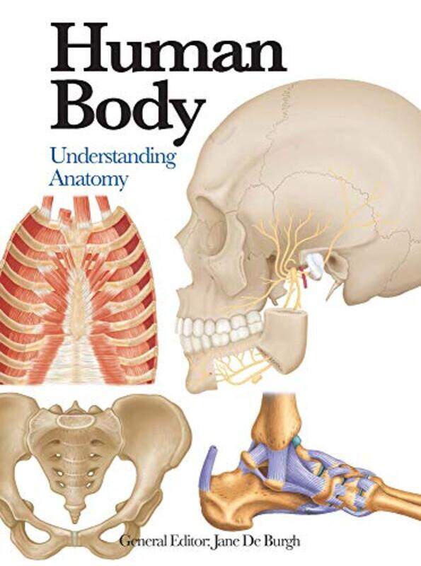 

Human Body by Michael WeilerDavid Heaf-Paperback