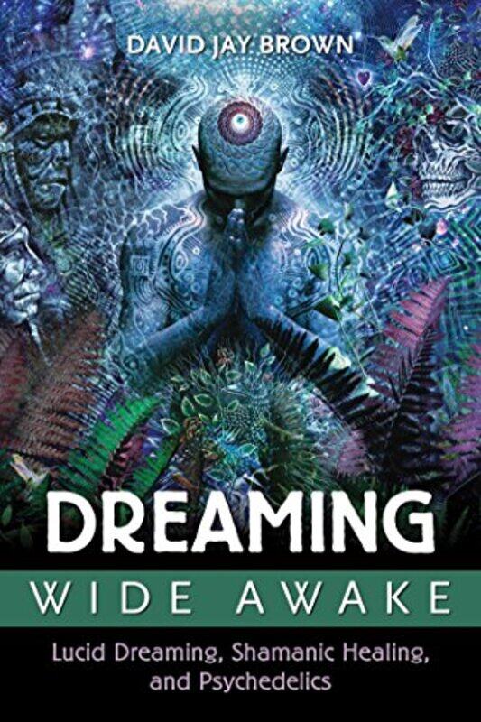 

Dreaming Wide Awake by David Jay Brown-Paperback