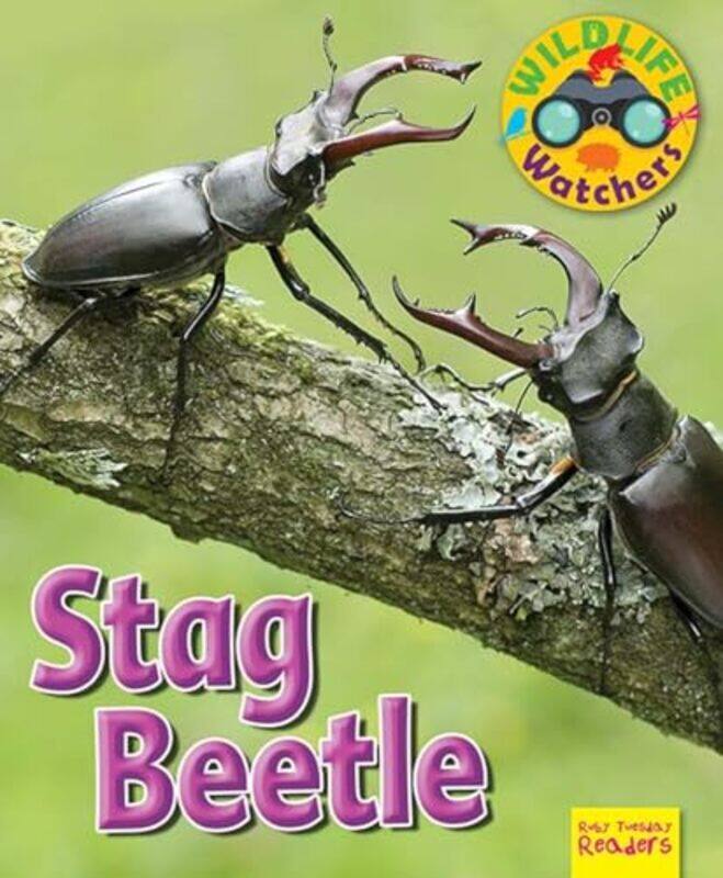 

Wildlife Watchers Stag Beetle-Paperback