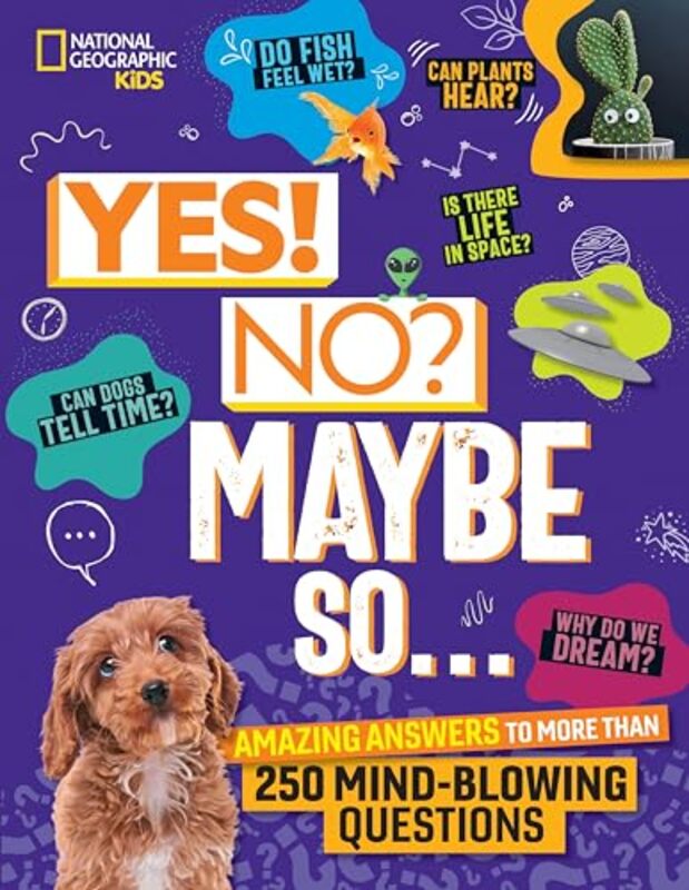 

Yes No Maybe So By Beer Julie - Hardcover