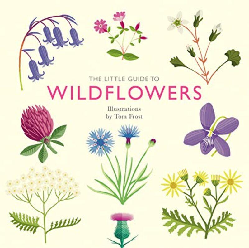 

The Little Guide to Wildflowers by John Storey-Hardcover