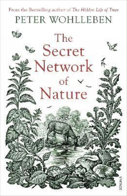 

The Secret Network of Nature: The Delicate Balance of All Living Things