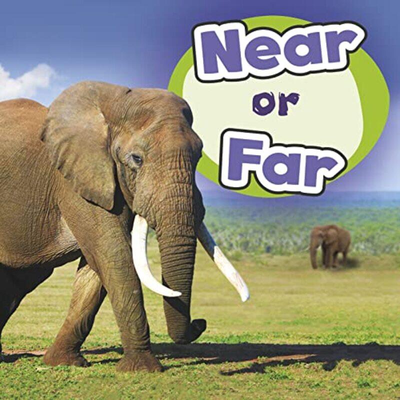 

Near or Far by Alan Bridgewater-Paperback