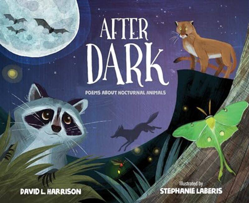 

After Dark by David L HarrisonStephanie Laberis-Hardcover