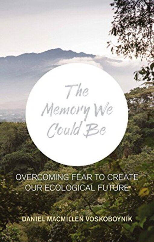 

The The Memory We Could Be by Steve Flint-Paperback