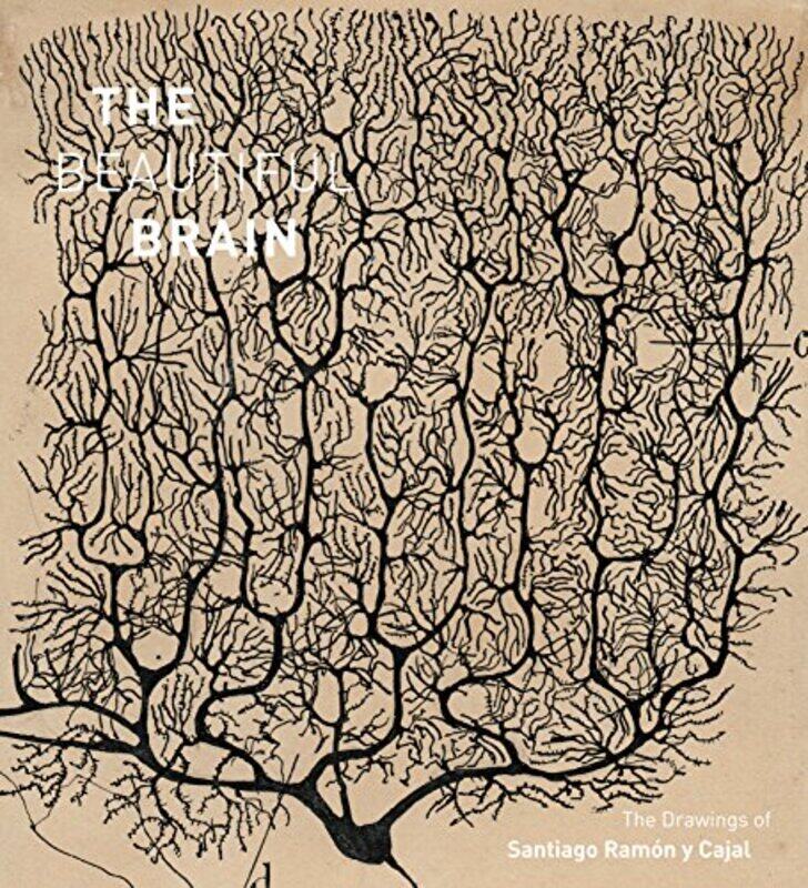 

The Beautiful Brain The Drawings Of Santiago Ramon Y Cajal by Swanson, Larry - Newman, Eric - Araque, Alfonso-Hardcover