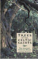 Trees of the Celtic Saints ? The Ancient Yews of Wales by Adam Frost-Paperback