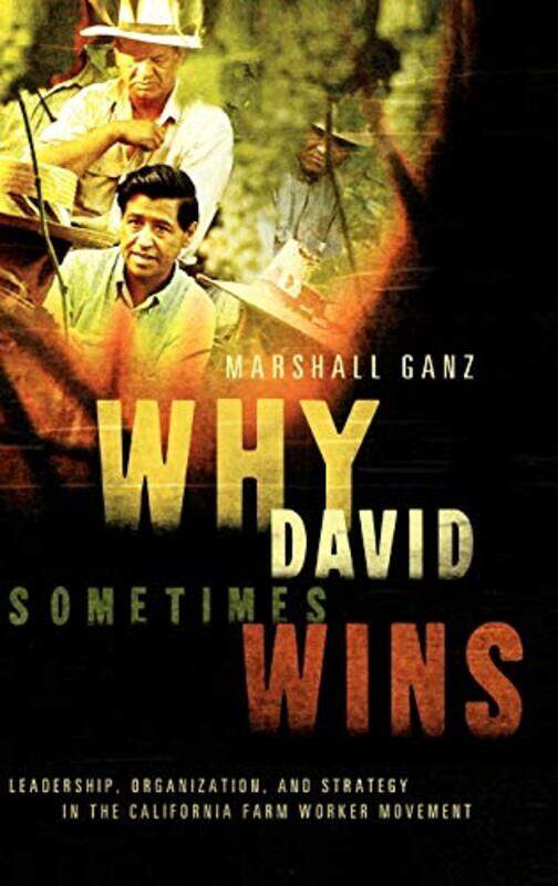 

Why David Sometimes Wins-Hardcover