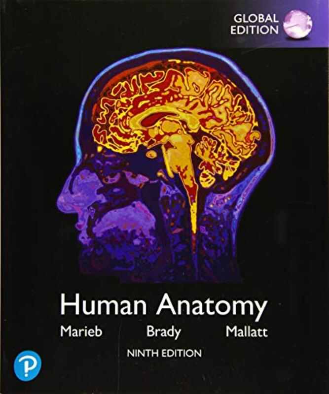 Human Anatomy Global Edition by Elaine MariebPatricia BradyJon Mallatt-Paperback