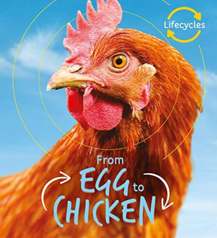 

Lifecycles Egg to Chicken by ALSHAIMA TA HUSSEIN-Paperback