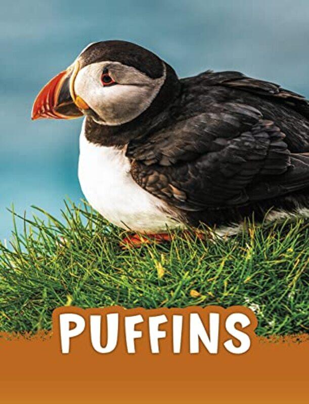 

Puffins by Philippa Kelly-Paperback